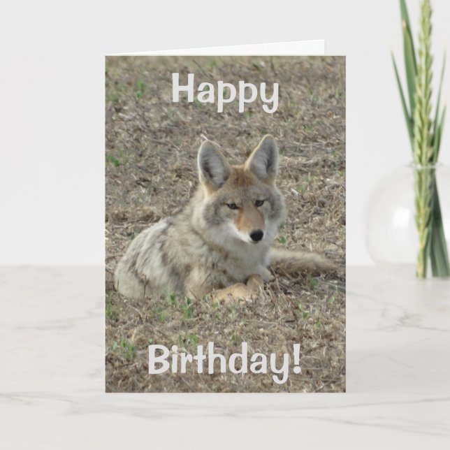 Cartão Colocação do chacal R22 (Frente)