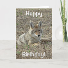 Colocação do chacal R22