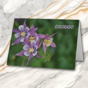 Cartão Colorado Blue Columbine All Occasion Greeting