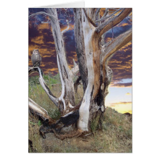 Cartão Colorado Sunset