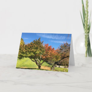 Cartão Colored Maple Tree in Autumn