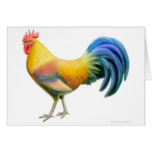 Cartão colorido do galo de Ardenner