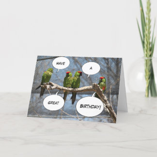 Cartão colorido dos pássaros