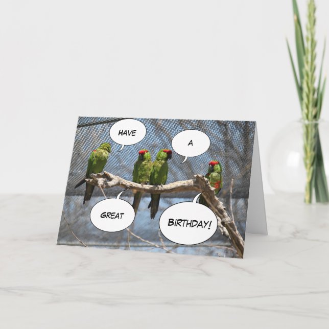 Cartão colorido dos pássaros (Frente)