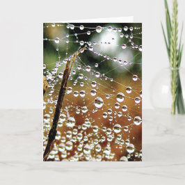 Cartão Colorir Colorida Largar Cascata para Baixo