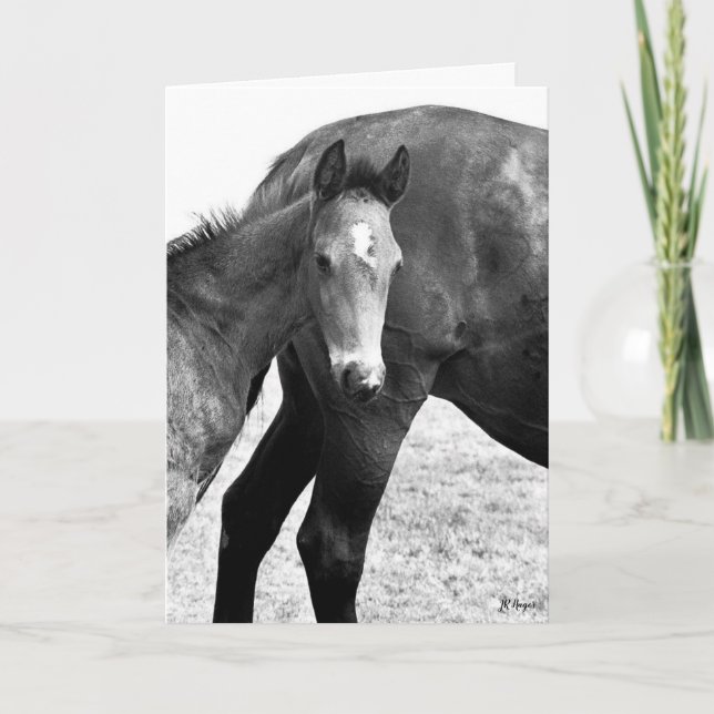 Cartão Colt Happy Birthday (Frente)