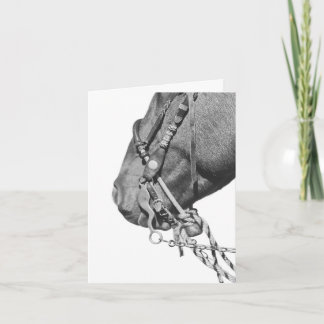 Cartão Colt in the Two Rein - 4" x 5.6" Notecard