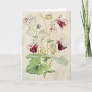 Cartão Columbina de dupla faixa de cravagem em punho dupl