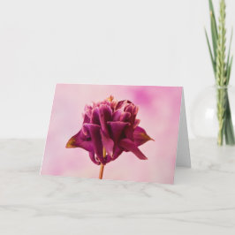 Cartão Columbina Rosa Burgundy