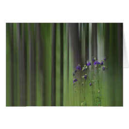 Cartão Columbine Primavera