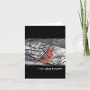 Cartão Com a mais profunda simpatia