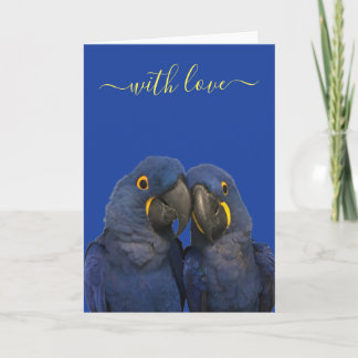 Cartão Com Amor Hyacinth Macaw Parrot Blue