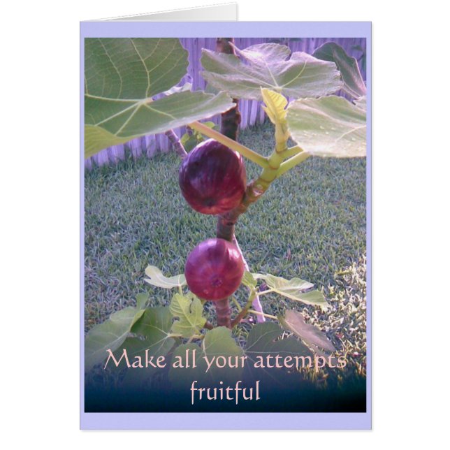 Cartão com fotos 3 (Frente)