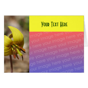 Cartão com fotos amarelo da ventoinha da rede