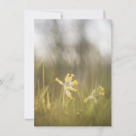 Cartão com fotos da Natureza da Flor Amarela