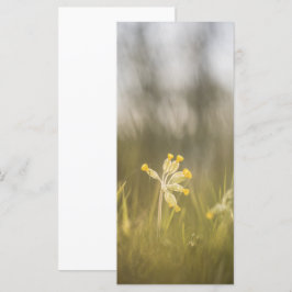 Cartão com fotos da Natureza da Flor Amarela