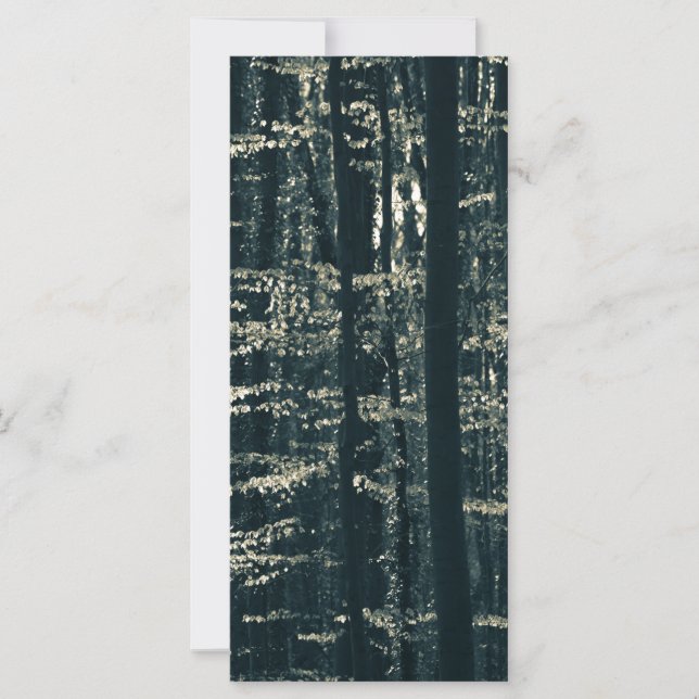 Cartão com fotos da Natureza da Floresta de Feia (Frente)