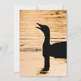 Cartão com fotos da Natureza Greylag Goose