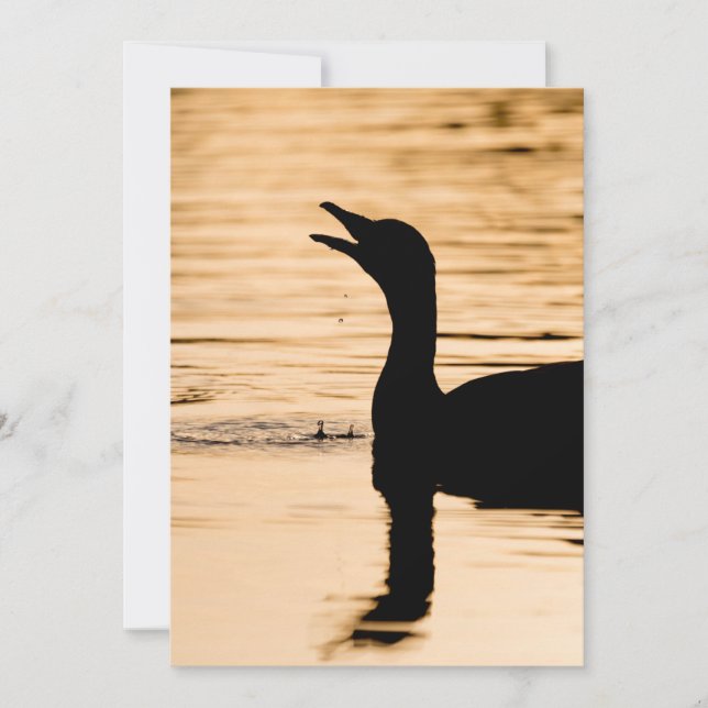 Cartão com fotos da Natureza Greylag Goose (Frente)