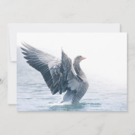 Cartão com fotos da Natureza Greylag Goose