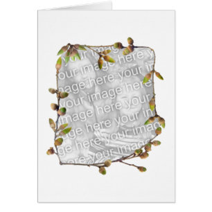 Cartão com fotos das bolotas