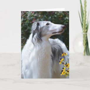 Cartão com fotos de Arte do Cão Wolfhound Russo Bo