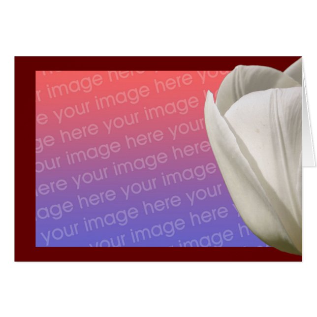 Cartão com fotos de Flor Branco (Frente Horizontal)