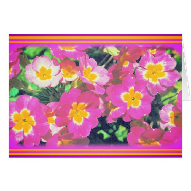 Cartão com fotos de Flor Rosa (Frente Horizontal)