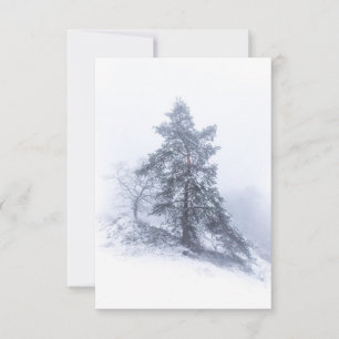 Cartão com fotos de inverno com pinheiro coberto d