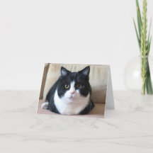 Cartão com fotos de Manchester