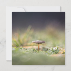 Cartão com fotos de Mushroom Nature