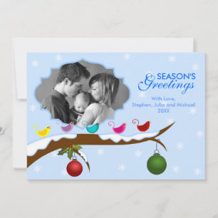 Cartão com fotos de Natal para Pássaros Coloridos