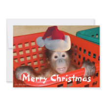 Cartão com fotos de Papais noeis de Natal