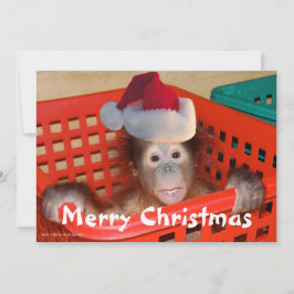 Cartão com fotos de Papais noeis de Natal