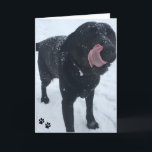 cartão com fotos do cão<br><div class="desc">Cartão bonito do cão a enviar para um aniversário, o cumprimento, a mensagem, os namorados, o dia das mães, o dia dos pais ou a alguma outra ocasião. Mude a mensagem para dentro para fazer-lhe seus próprios. Você tem a grande foto de seu próprio animal de estimação? Substitua-o com a...</div>