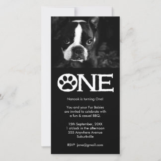 Cartão com fotos do primeiro aniversario dos Cães