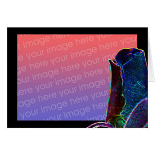 Cartão com fotos Floral Elétrico Rosebud