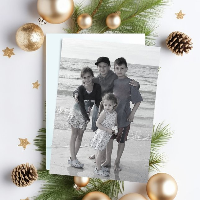 Cartão com fotos frente e verso do cardeal vermelh (Christmas Season's Greetings red cardinal photo card.)