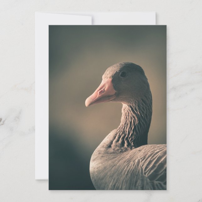 Cartão com fotos Goose Nature (Frente)