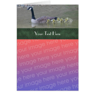 Cartão com fotos Natural da Família Ganose do Cana