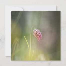 Cartão com fotos Natureza da Flor do Xadrez