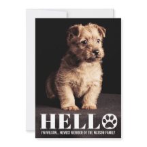 Cartão com fotos novo do anúncio da adopção do