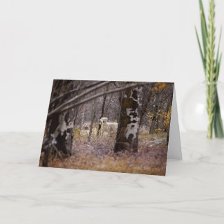 Cartão com fotos para vazio Ouro