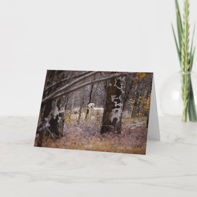 Cartão com fotos para vazio Ouro (Frente)