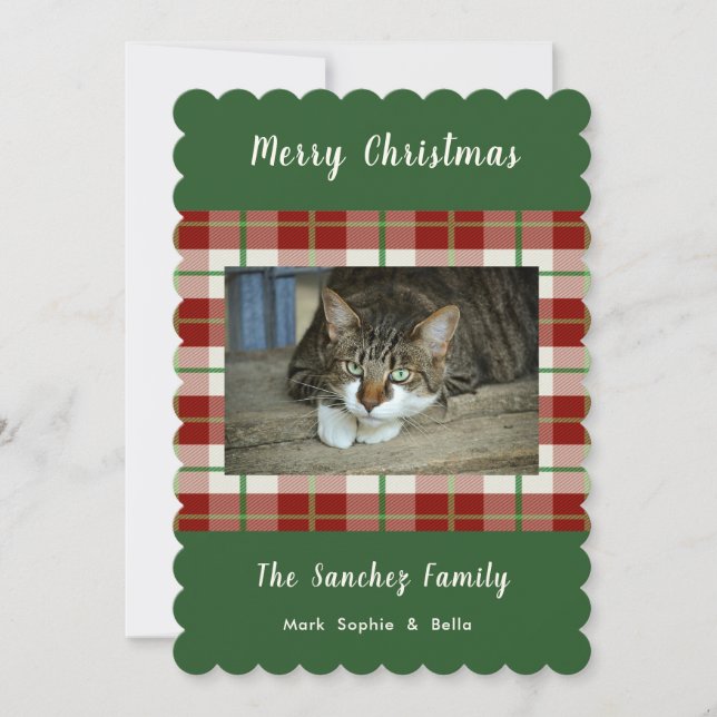 Cartão com fotos Pet Cat Dog Feriado de Natal (Frente)