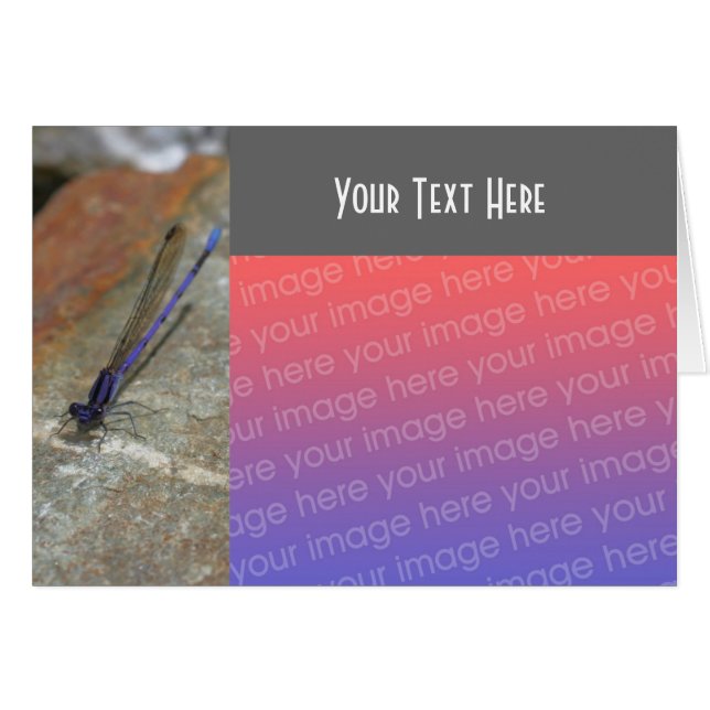 Cartão com fotos Roxo Damselfly (Frente Horizontal)