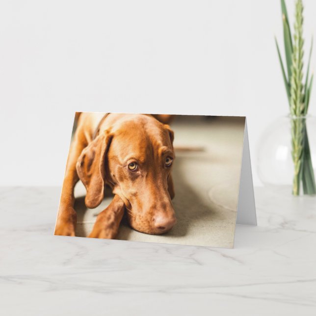 Cartão com motivo "Magyar Vizsla" (Frente)