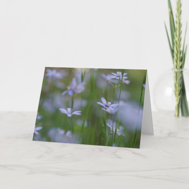 Cartão com Salmos 115:15 e Flores Azuis (Frente)