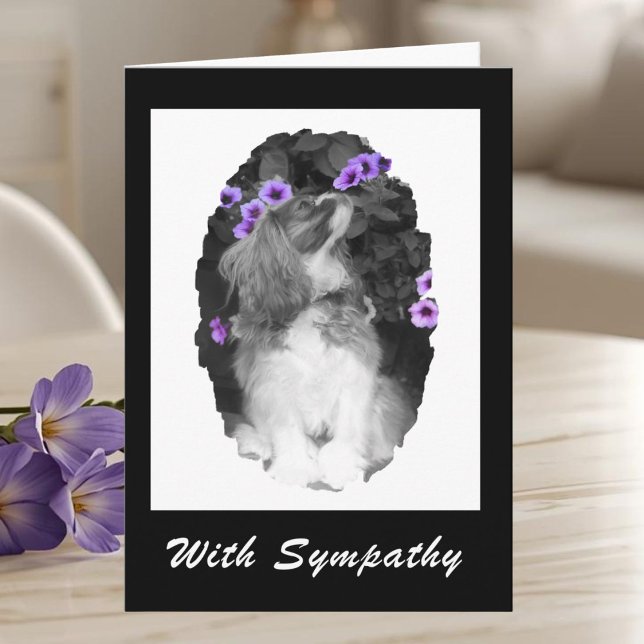Cartão Com simpatia Cavalier King Charles Card (Criador carregado)