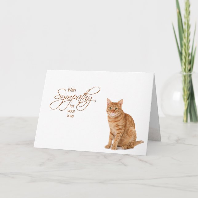 Cartão Com simpatia - perda do gato (Frente)